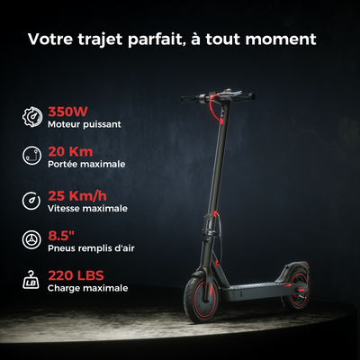 iSinwheel Trottinette électrique S9MAX 500W